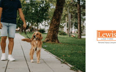 A Walk in the Park Took Everything She Loved: An Illinois Dog Attack Case